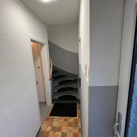 1 Mini *